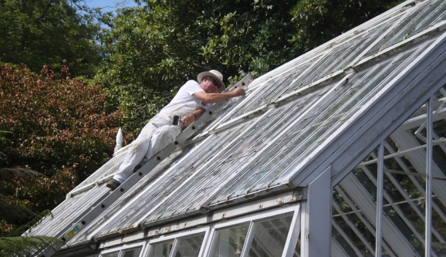 В ФНС разъяснили условия налогообложения дачных теплиц