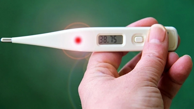 В Марий Эл выросло количество заболеваний ОРВИ