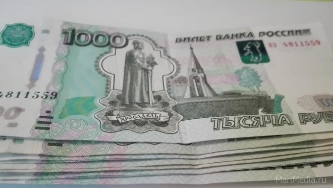 Полицейские Йошкар-Олы и Воронежа задержали мошенника из Санкт-Петербурга