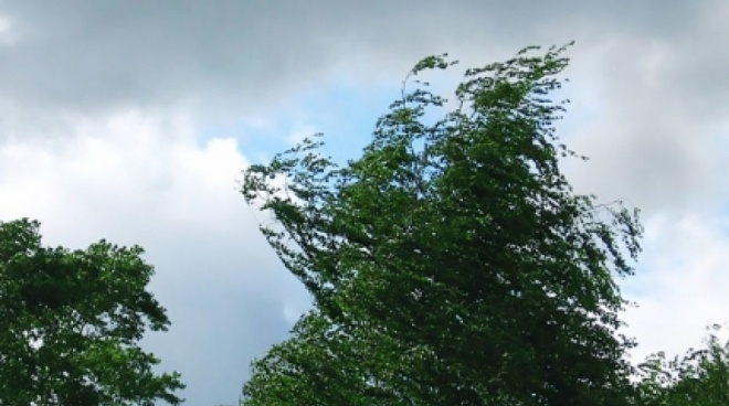 В Марий Эл ожидают сильный ветер