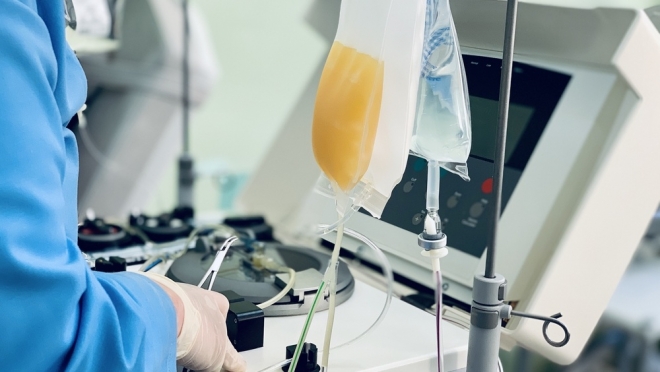 Жители Марий Эл сегодня смогут записаться на плазмаферез