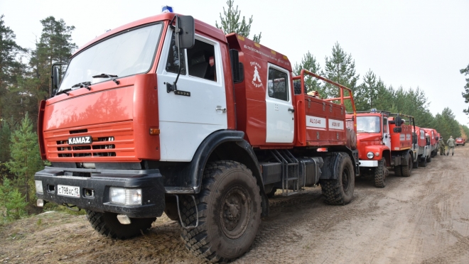 Главе Марий Эл доложили о готовности республики к пожароопасному сезону