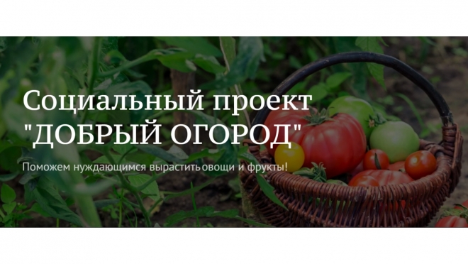 В Моркинском районе Марий Эл появится «Сад мечты»