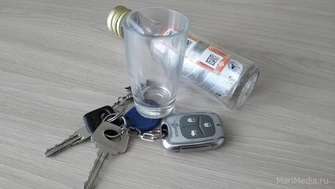 В Марий Эл 20 пьяных водителей задержано по информации от граждан