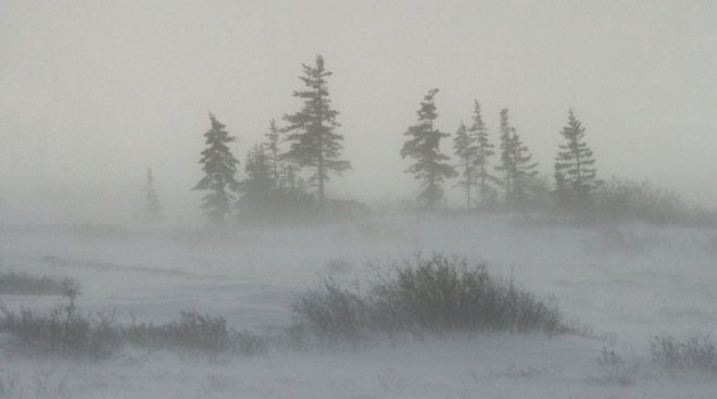 В Марий Эл надвигается метель и сильный ветер