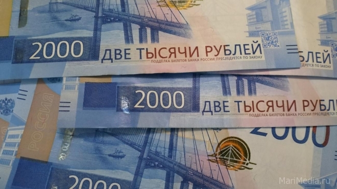Кто из работодателей Марий Эл обещает зарплату выше 100 тысяч рублей