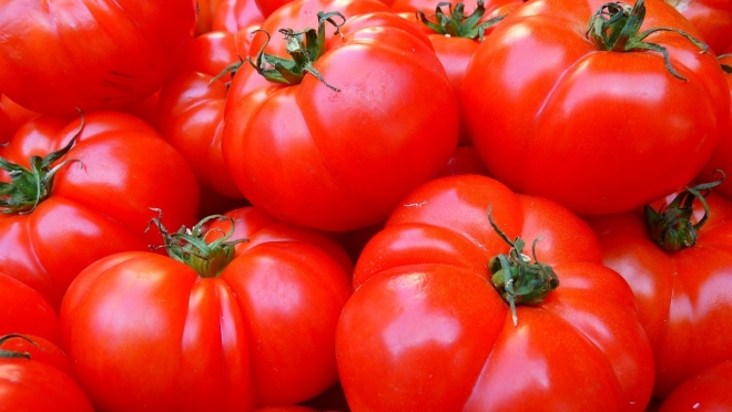 Турецкие томаты могут стать яблоком раздора между нашими странами