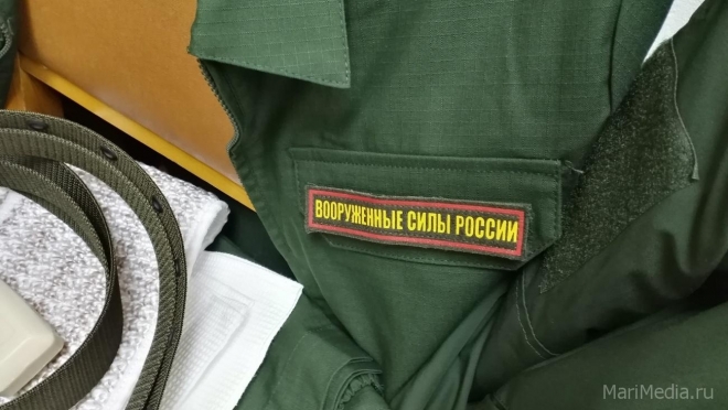 Депутаты предлагают лишать уклонистов приобретённого гражданства РФ