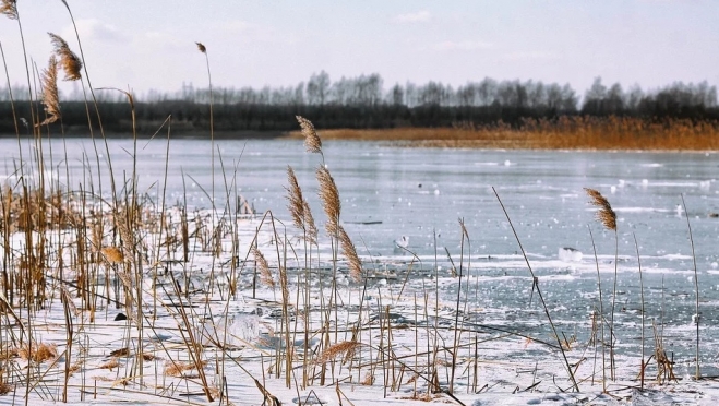В Йошкар-Оле под лёд провалился мужчина