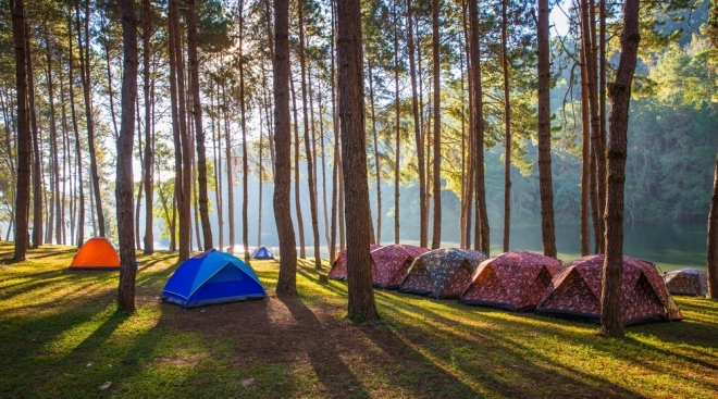 Житель Марий Эл при покупке палатки лишился сбережений