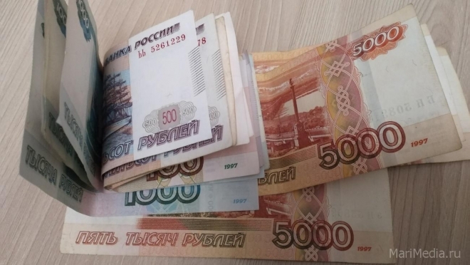 В Марий Эл установлена величина прожиточного минимума на 2022 год