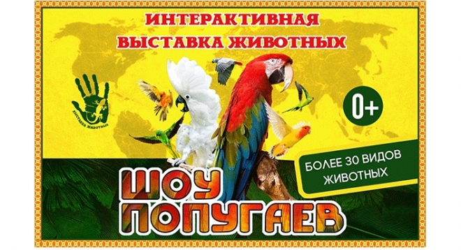 Шоу попугаев
