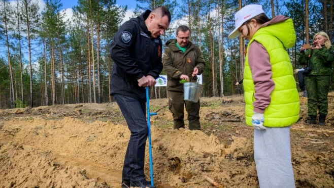 Глава Марий Эл поблагодарил работников леса за сбережение лесного богатства