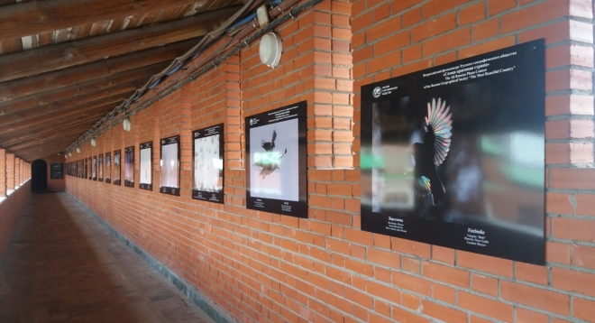 Самая красивая страна