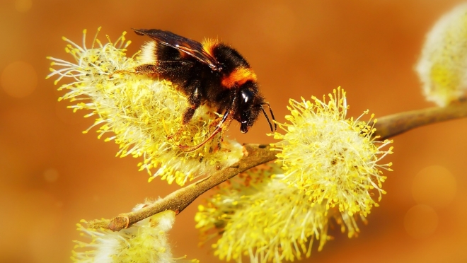 Завтра в Марий Эл будет по-летнему тепло