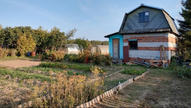 Какие растения на садовых участках могут стоить дачнику свободы