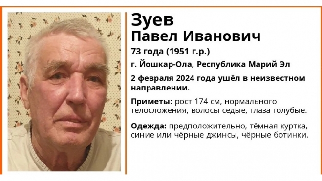 В Йошкар-Оле ищут 73-летнего мужчину