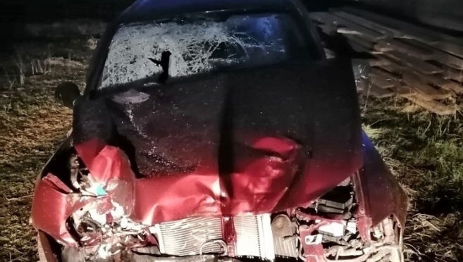 В Новоторъяльском районе три человека пострадали в ДТП