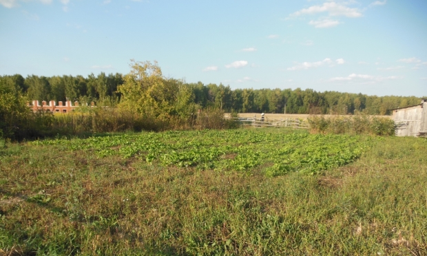 За махинации с землёй экс-сотрудница районной администрации предстанет перед судом