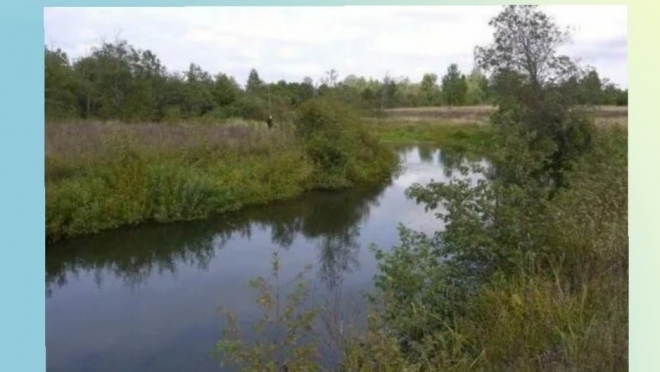 Водохранилище в Оршанском районе расчистят за 54 млн рублей