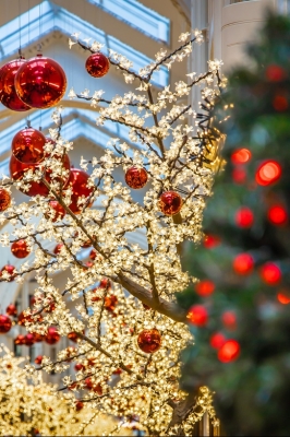 Рождественский концерт