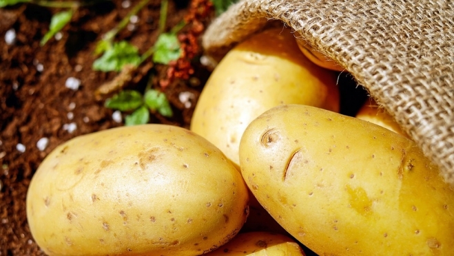 Делегация Марий Эл отправилась на выставку-форум «Картофель-2019»