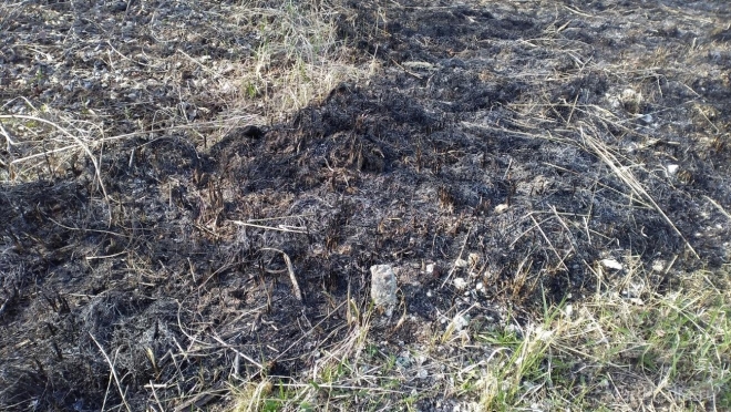 В Марий Эл нарушителей противопожарного режима ждёт штраф до 400 тысяч рублей