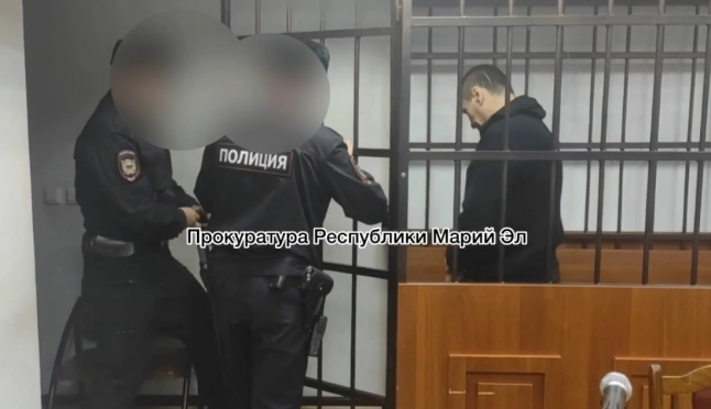 Жителя Йошкар-Олы осудили на 9 лет за убийство женщины