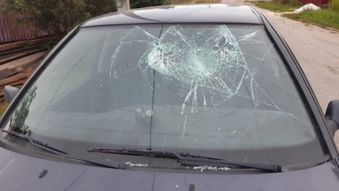 В Оршанке пьяный бесправный водитель сбил пешехода