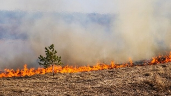 В Марий Эл произошёл первый в этом сезоне лесной пожар