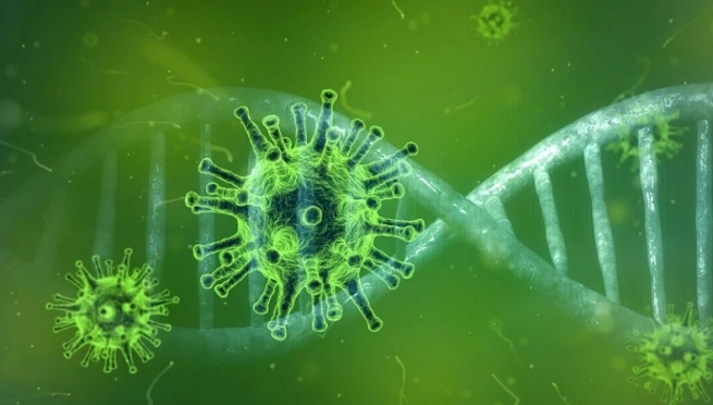 В инфекционных стационарах Марий Эл находятся 363 пациента с подтверждённым COVID-19