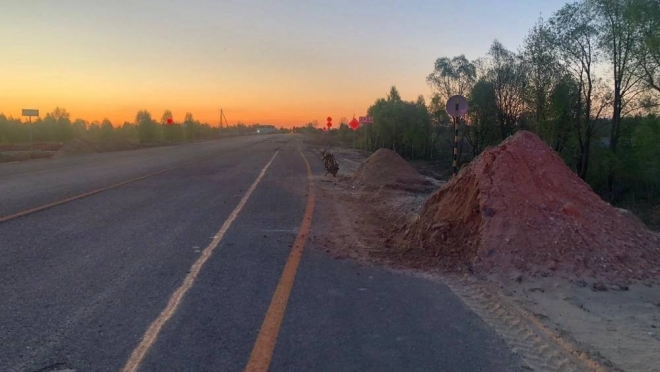 Ночью в Килемарском районе 16-летний мопедист опрокинулся в кювет