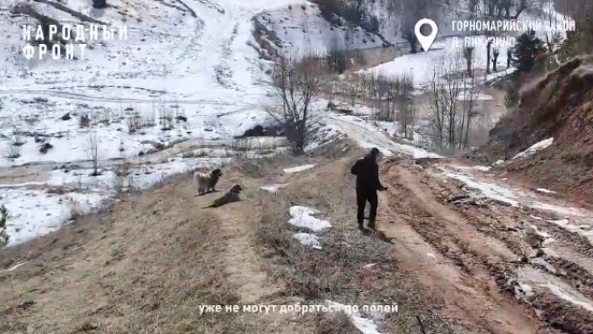 В Марий Эл четыре населённых пункта оказались отрезанными от «большой земли»