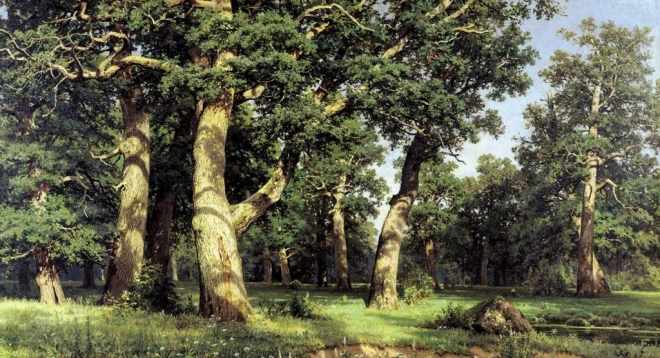 «Дубовая роща» И. И. Шишкина
