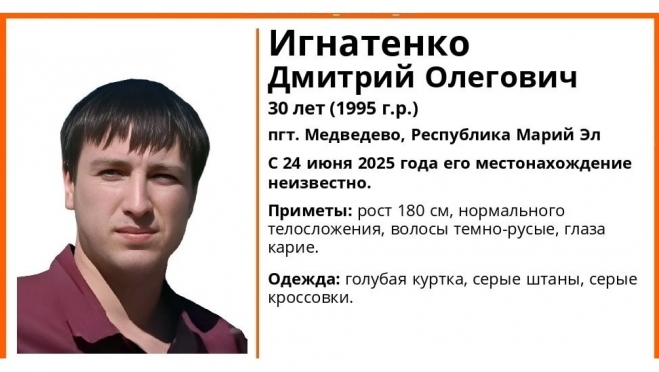 В посёлке Медведево больше недели не могут найти 30-летнего Дмитрия Игнатенко