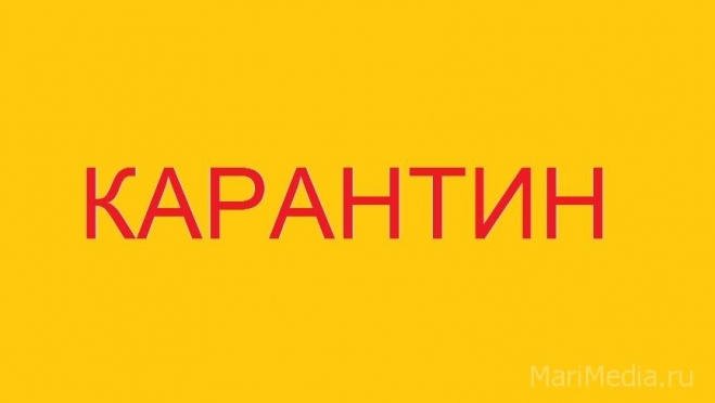 В Марий Эл Озеркинскую среднюю школу закрыли на карантин