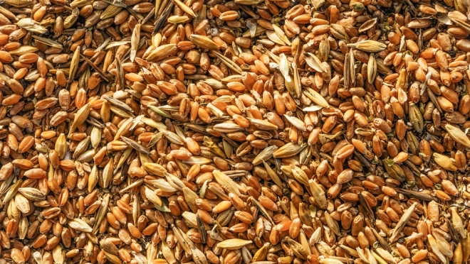 В марийских заказниках разложили 5 тонн зерновой смеси
