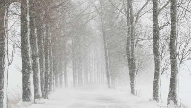 Ночью в Марий Эл ожидается сильный порывистый ветер