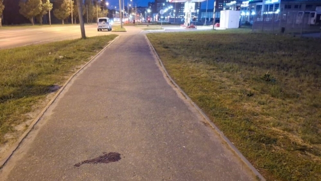 В Йошкар-Оле самокатчик сбил женщину и скрылся