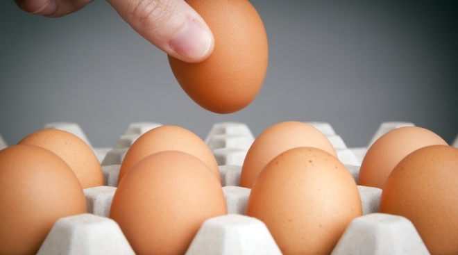 В Марий Эл в I квартале было произведено 105,7 млн штук яиц