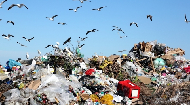 Новый мусоросортировочный комплекс в Марий Эл переработал уже около 2 тысяч тонн отходов