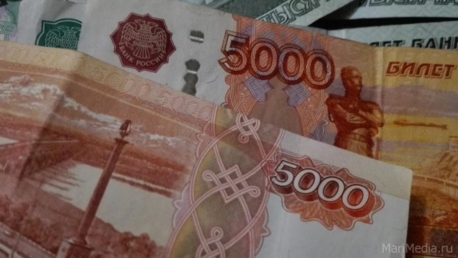 Жительница Марий Эл установила приложение и лишилась более 100 тысяч рублей