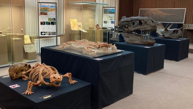 В Йошкар-Олу привезут уникальную палеонтологическую выставку древних рептилий