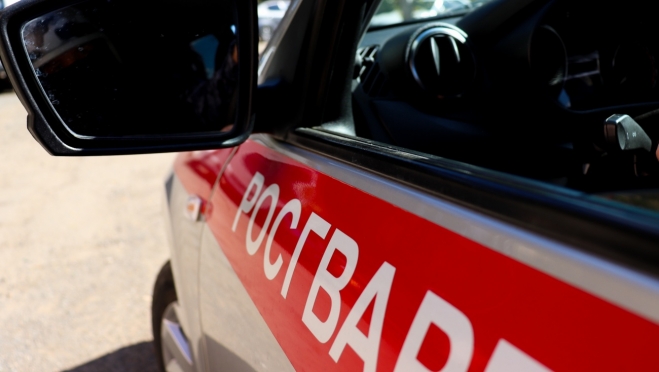 Житель Козьмодемьянска расплатился чужой картой и попался в руки росгвардейцев