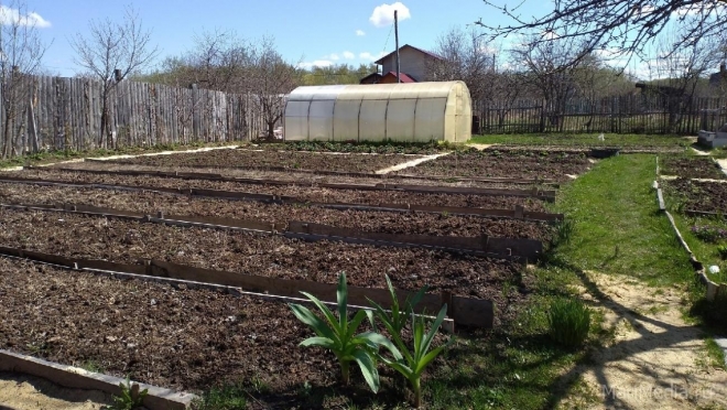 Пенсионерка из Йошкар-Олы, продавая садовый участок, потеряла 120 тысяч