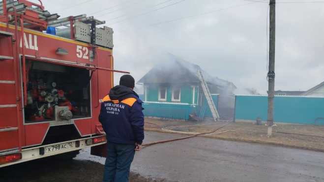 За неделю на пожарах в Марий Эл два человека получили травмы, пятерых эвакуировали