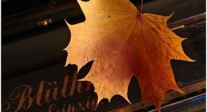 Фестиваль-марафон "Марийская осень-2013"