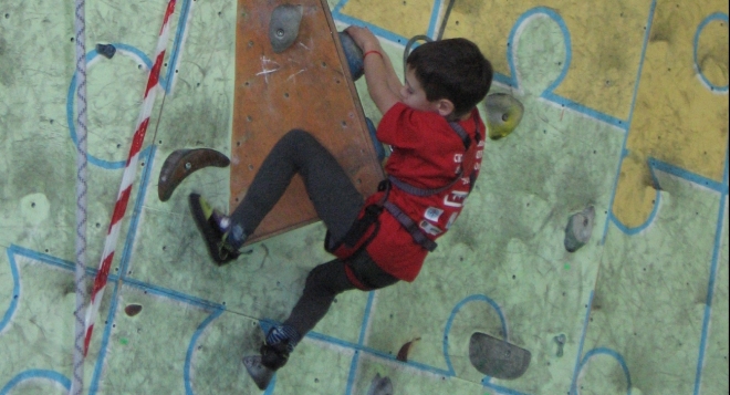 Весенние паучки