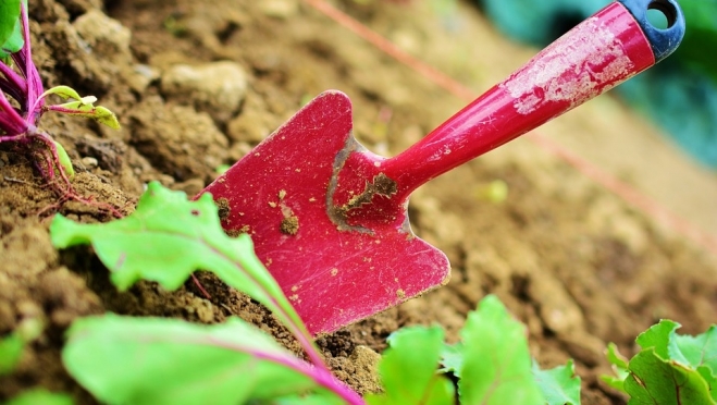 Садоводам Марий Эл рассказали о новых возможностях внесения безналичных взносов
