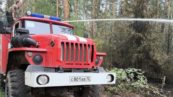 В национальном парке «Марий Чодра» горел лес